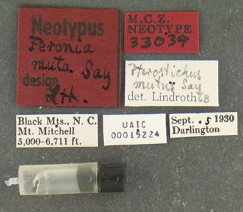 Media type: image;   Entomology 33039 Aspect: labels